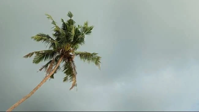 Suasana langit mendung di wilayah Kota Bogor yang berpotensi hujan ringan.