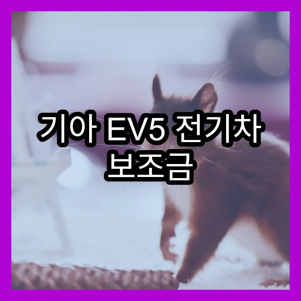기아 EV5 전기차 보조금 신청과 지원 기준 상세 안내