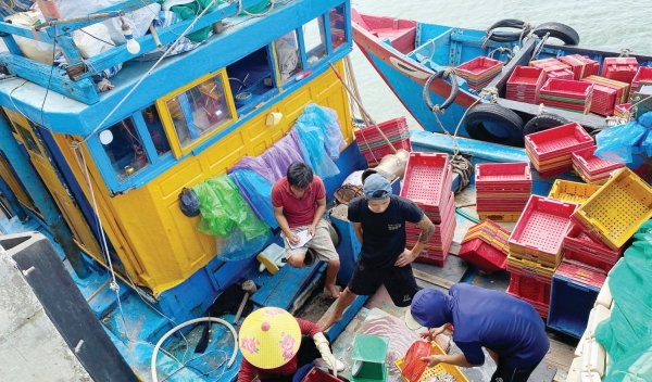 Cảng cá Quảng Trị - Giải pháp then chốt thoát thẻ vàng IUU