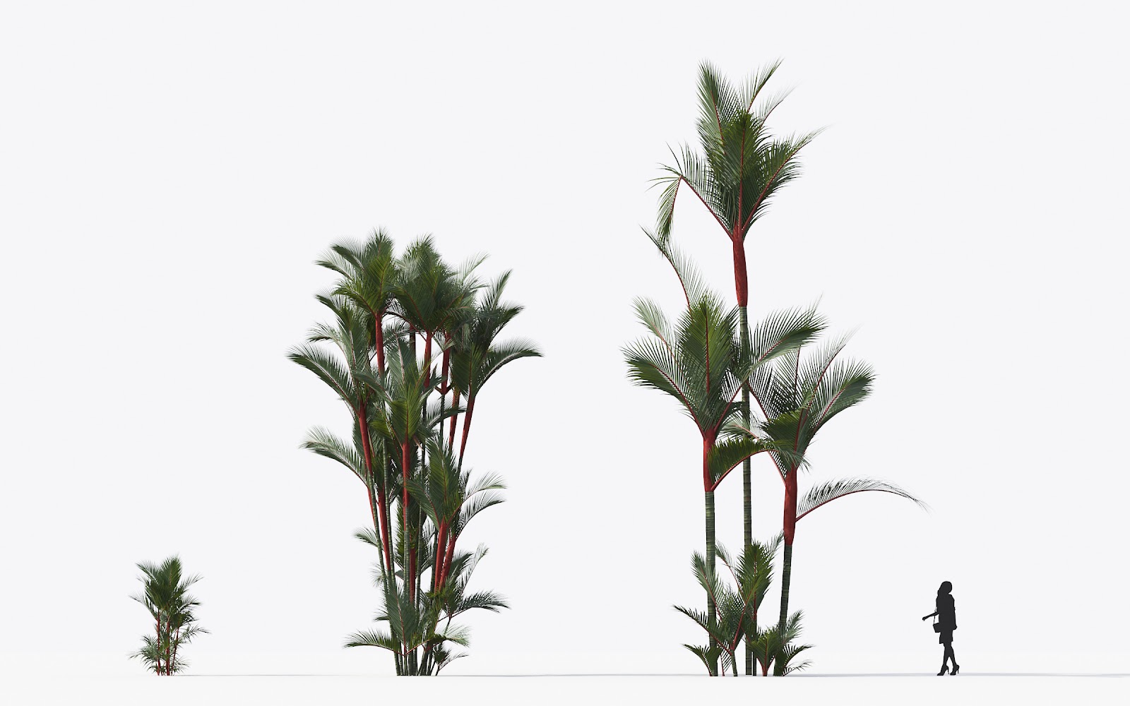 Maxtree - Plant Models Vol.15