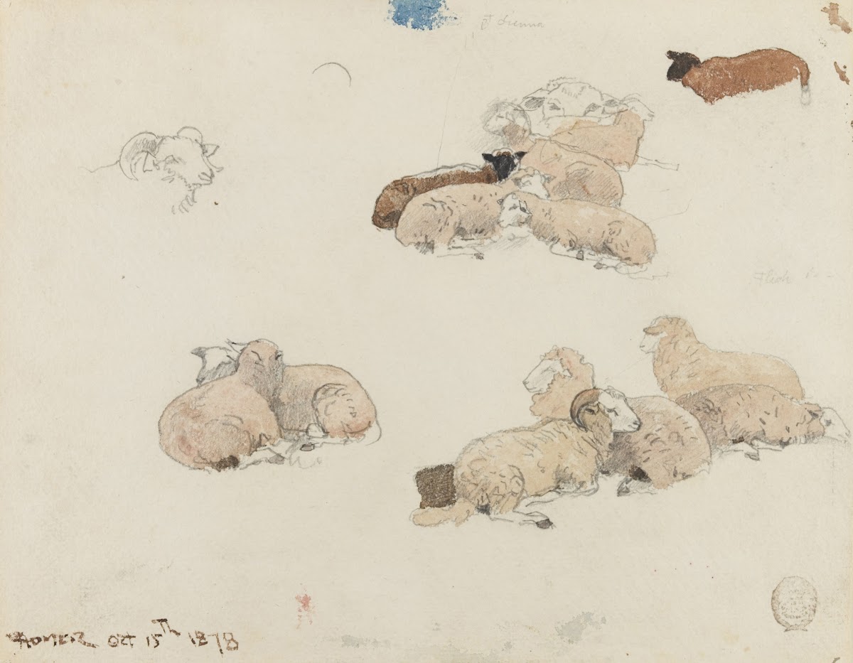 Sheep Resting 1878