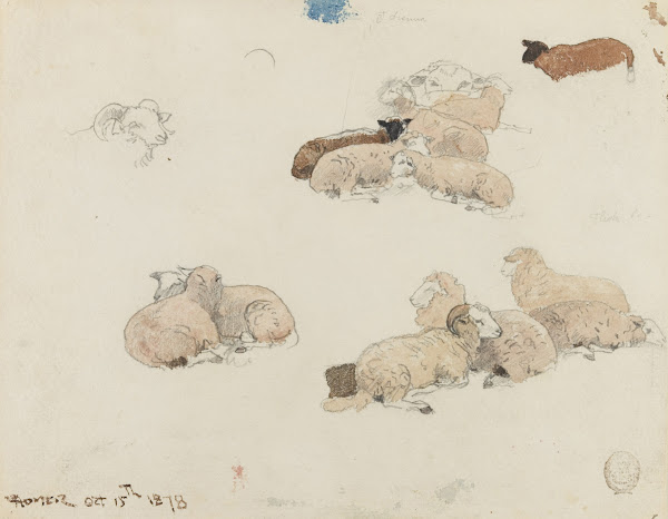 Sheep Resting 1878