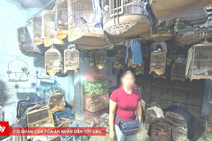 Khởi tố 2 đối tượng nuôi nhốt trái phép động vật hoang dã - Báo Công Lý