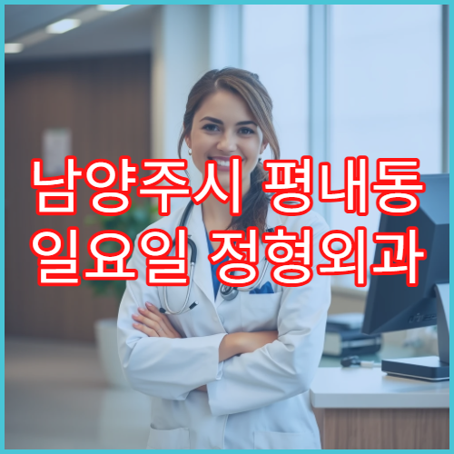 남양주시 평내동 일요일 정형외과 어깨회전근 통증 상담