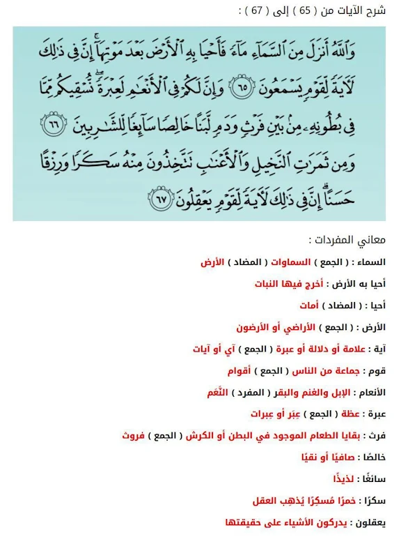 صورة الغلاف