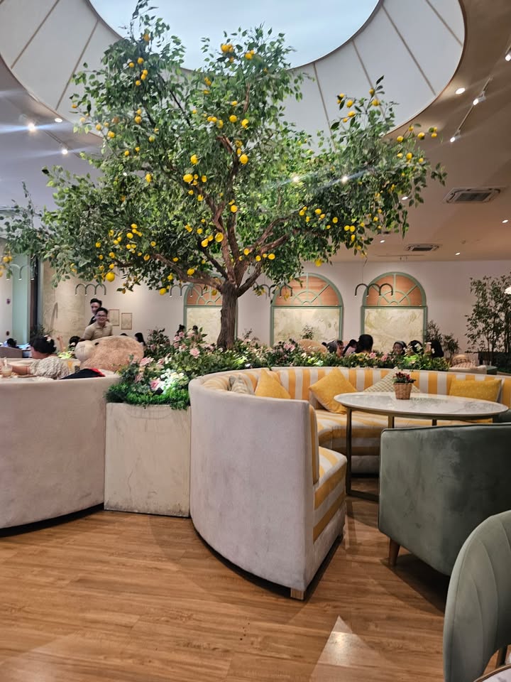 Mellow Beans Cafe Góc làm việc yên tĩnh view Hồ Con Rùa cực chill