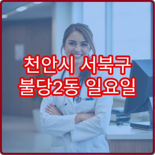 천안시 서북구 불당2동 일요일 이비인후과 진료 병원 음성 장애 상담