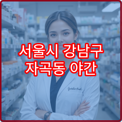 서울시 강남구 자곡동 야간 약국 밤에도 이용 가능한 약국 정리