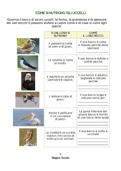 Anteprima della prima pagina: Come si nutrono gli uccelli