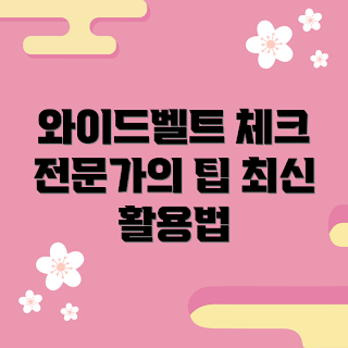 와이드벨트 정보, 2023 패션 트렌드, 와이드벨트 활용법, 가을 스타일링, 벨트 코디 팁