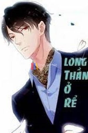 Long Thần Ở Rể