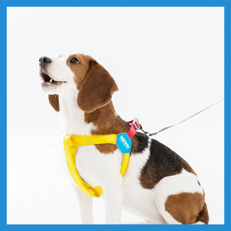 Y-shaped dog harness made of polyester, adjustable