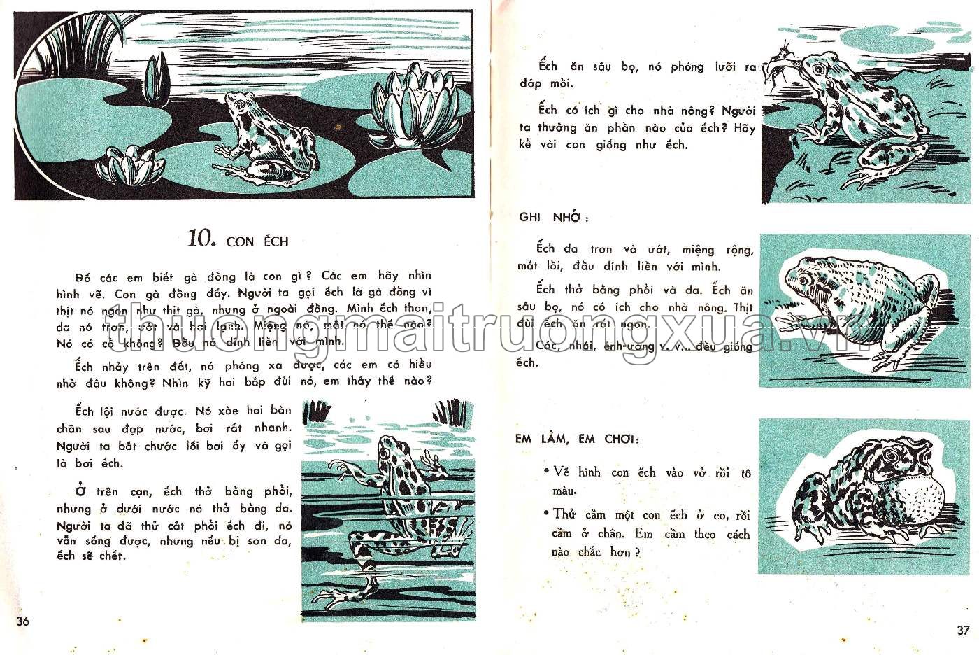 Em tìm hiểu khoa học lớp ba (1966) - Trang 19