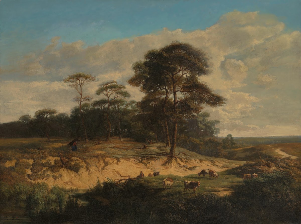 Landscape Near Kalmthout