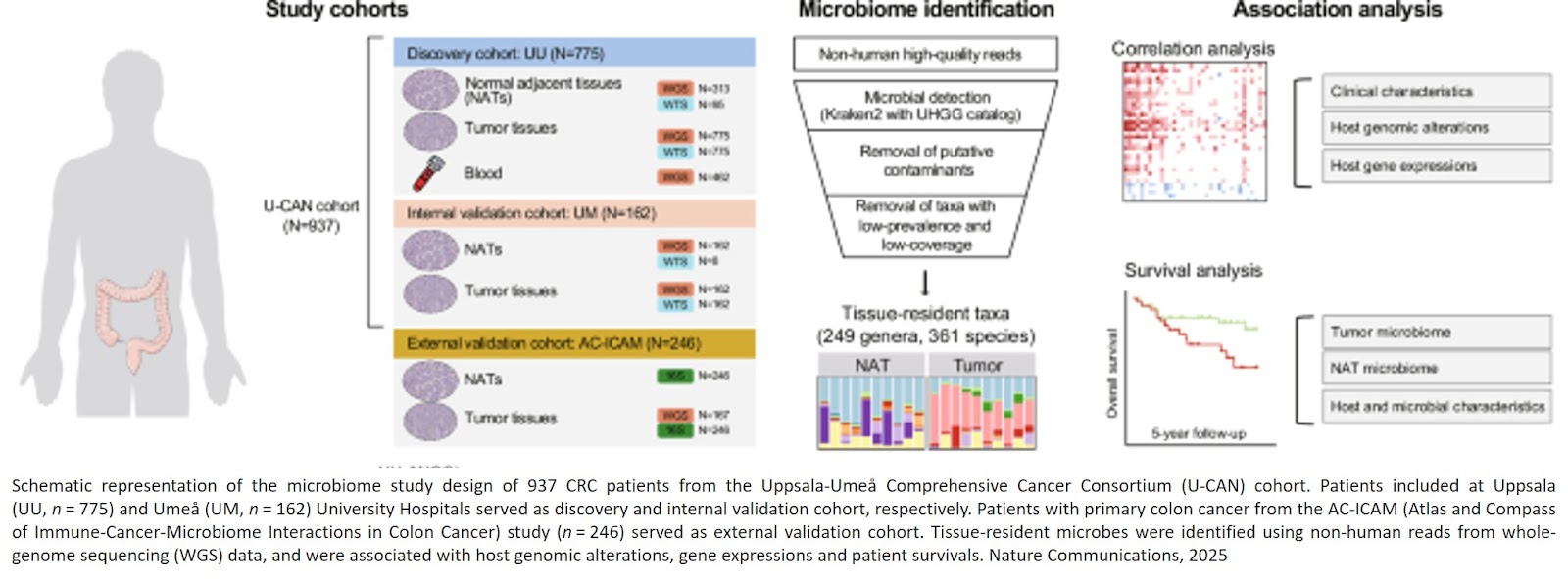 Tissue-resident microbiota impacts colorectal cancer progression and prognosis