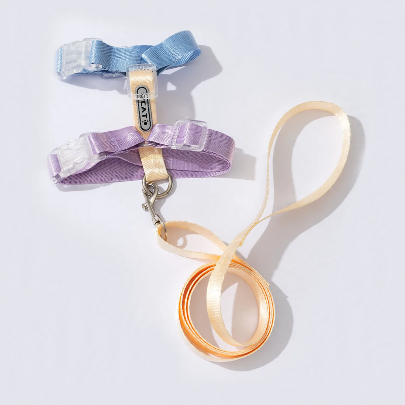 Bright Cat and Dog Harness-Leash