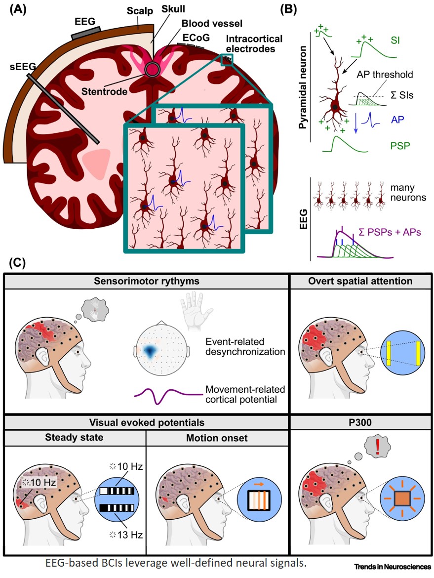 Noninvasive brain–computer interfaces