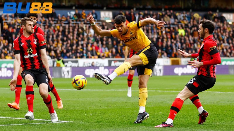 Lịch sử đối đầu giữa hai đội Wolves vs AFC Bournemouth