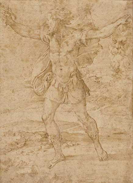 David with the Head of Goliath 1535