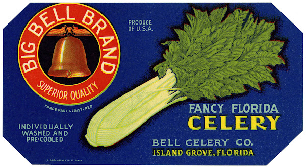 Big Bell Brand Fancy Florida Celery Label 1930 1950