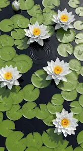 Zen Stone Balance in Minimalist Setting