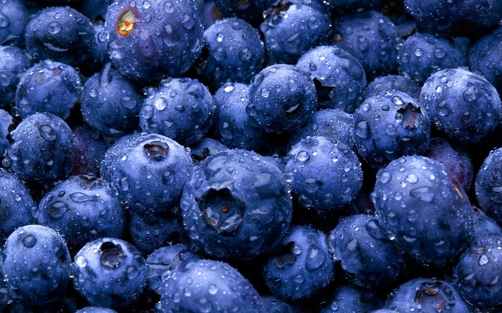 Blueberries Wallpaper