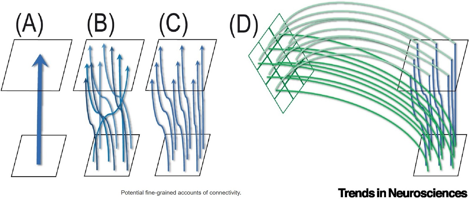 Reconstructing the human brain’s wiring diagram from axons up