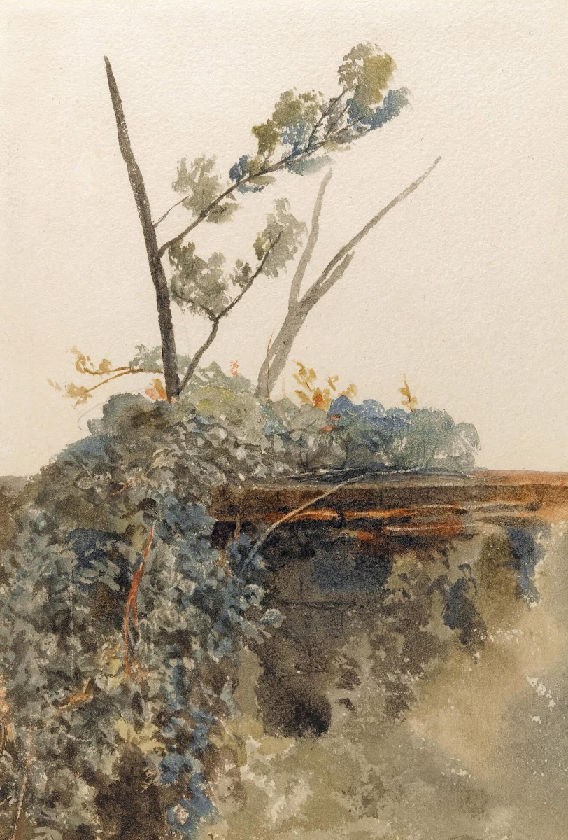 Study of ivy