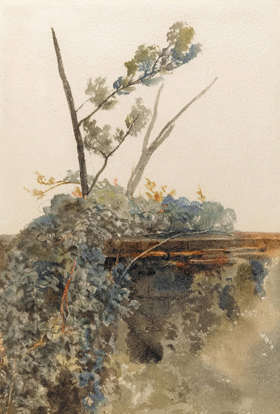 Study of ivy