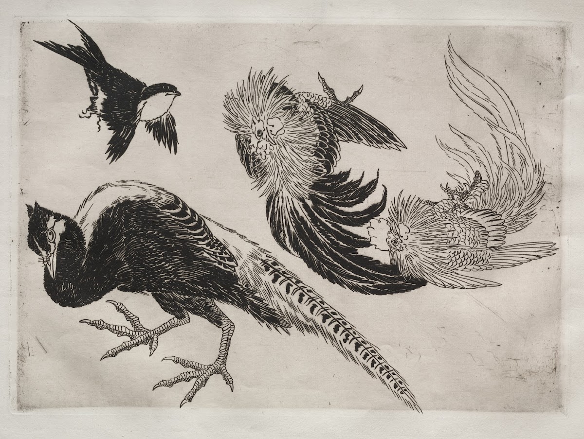 Dinner Service Rousseau service Pheasants and bird no 18 1866