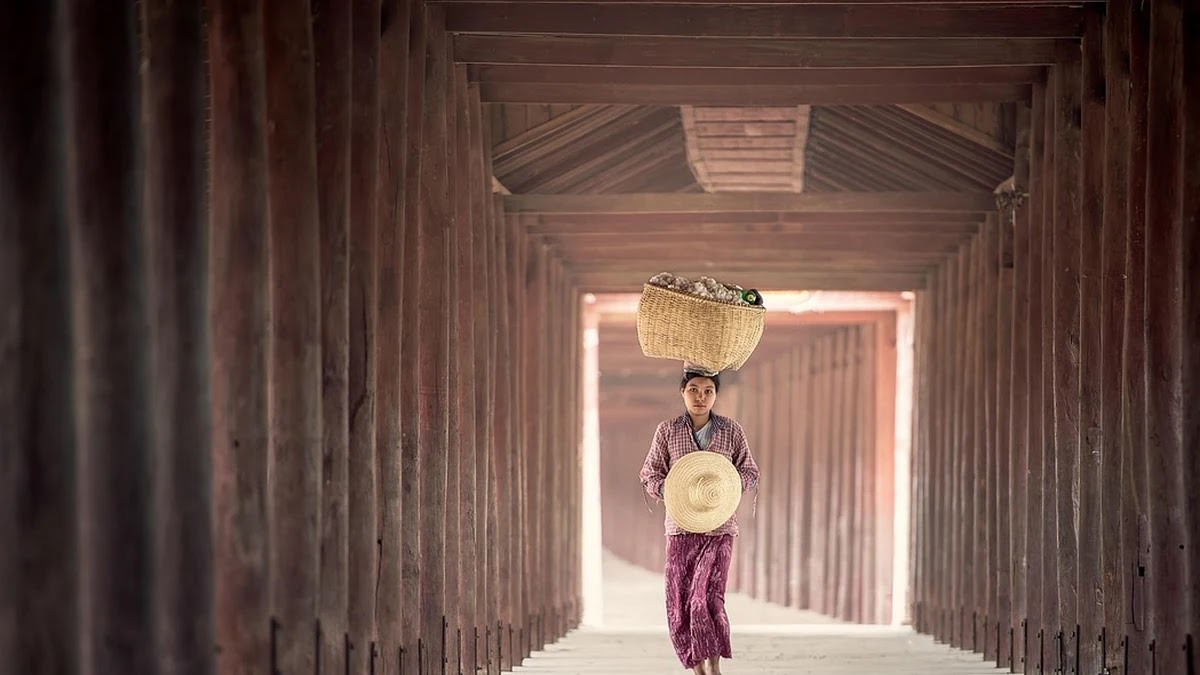 음식 문화의 금기와 그 기원의 인류학적 의미