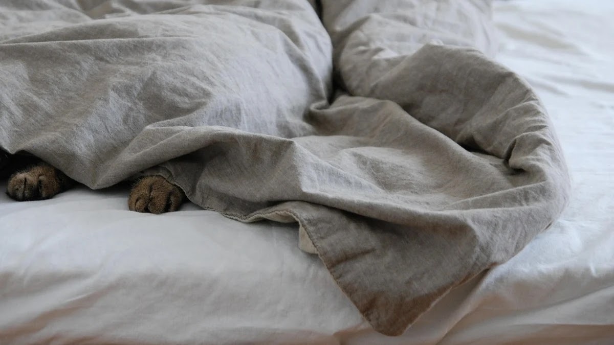 불면증 완화를 위한 수면 환경 관리 기준