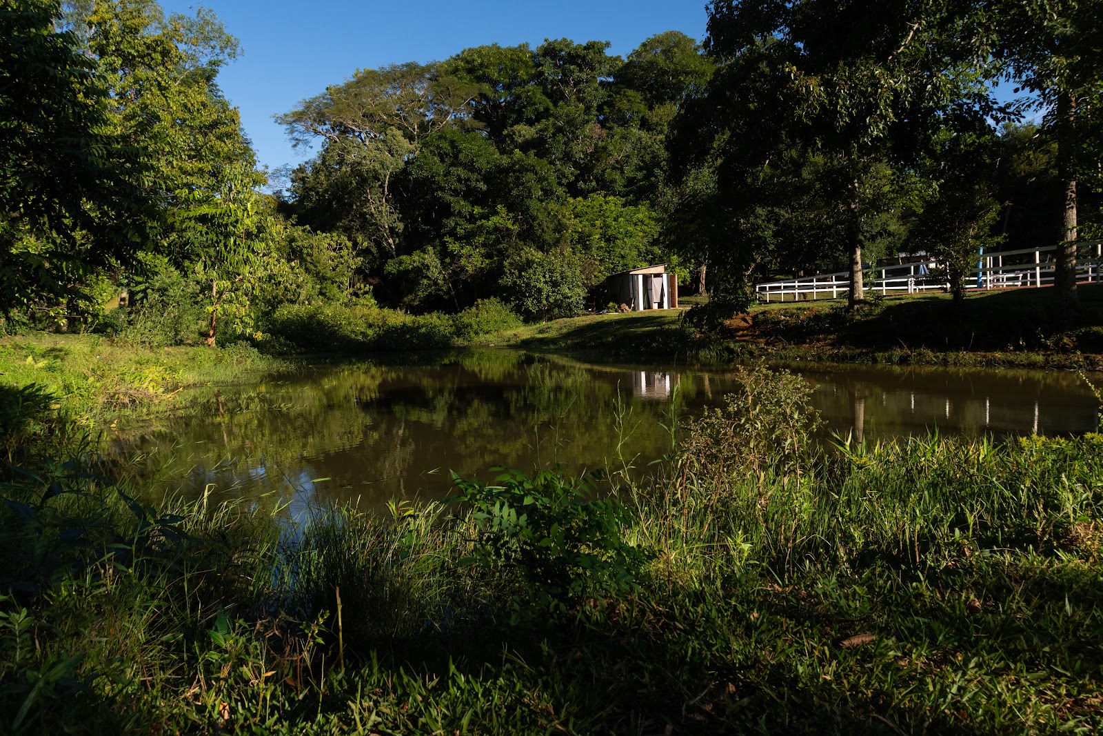 Camping y Pileta Manantial