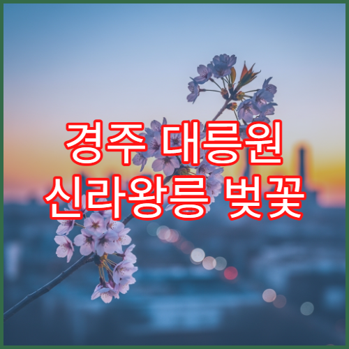 경주 대릉원 신라왕릉 벚꽃 가족 피크닉 주차장 숨은 명당 위치 가이드