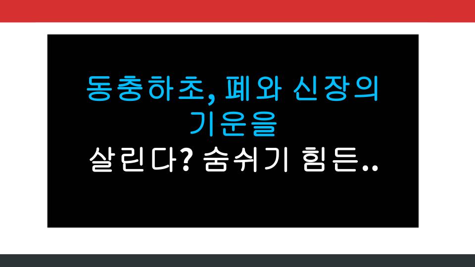 동충하초, 폐와 신장의 기운을 살린다? 숨쉬기 힘든 사람이 알아야 할 진실