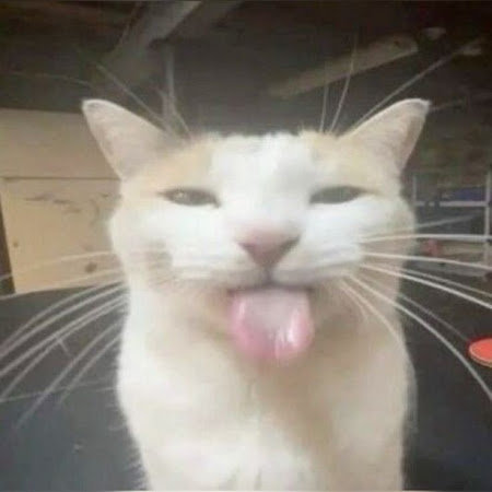 Ảnh bình luận