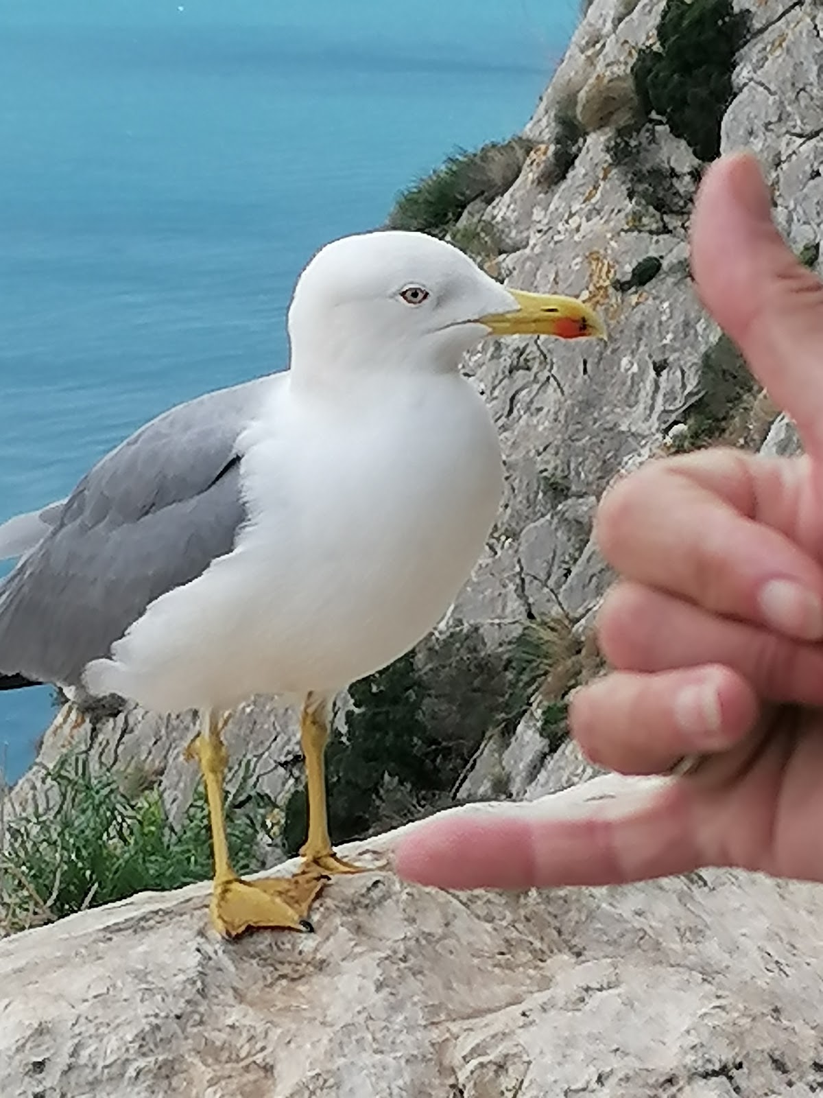 Photo de l’escale Calpe