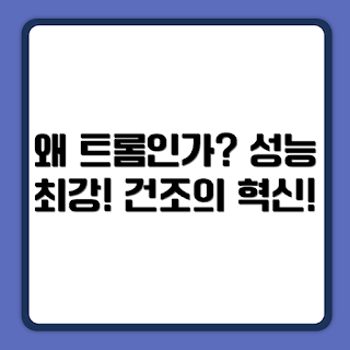 LG전자 트롬 건조기, RD20WNA 20kg, 건조기 추천, 겨울 세탁, 가정 필수 가전