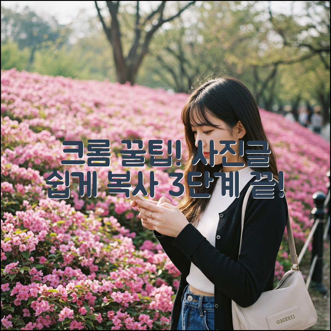 크롬 사진/글 복사 저장 3단계 완벽 가이드