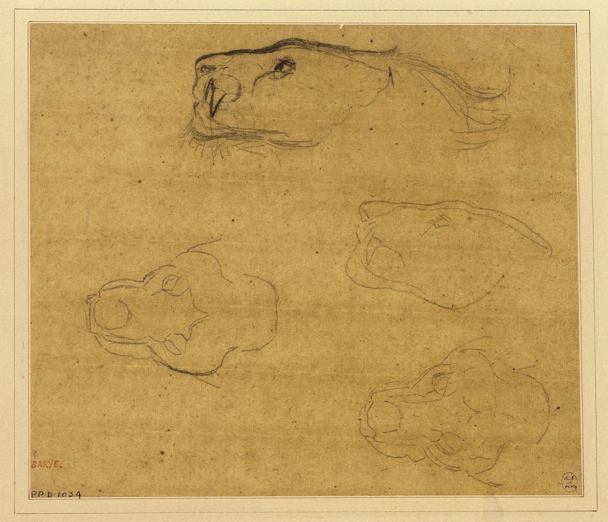 Feuille détudes de têtes de tigres 19th century