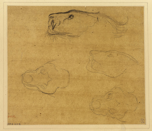 Feuille détudes de têtes de tigres 19th century