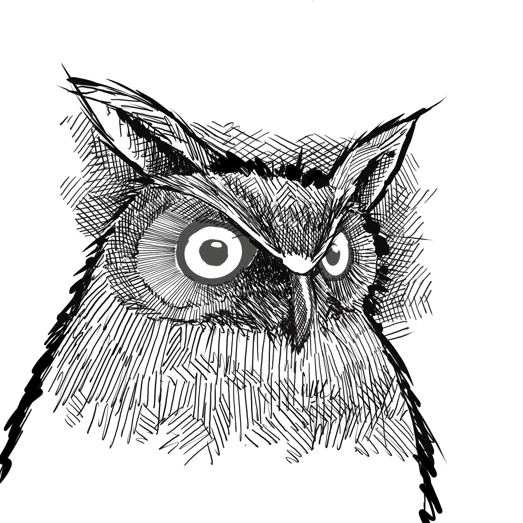 Dessiner les animaux - hibou peint à l'aquarelle, observation continue d'un animal