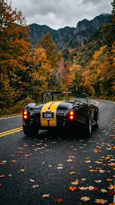Low Angle Rear View of a Black Sports Car with Yellow Racing Stripes on an Autumn Road