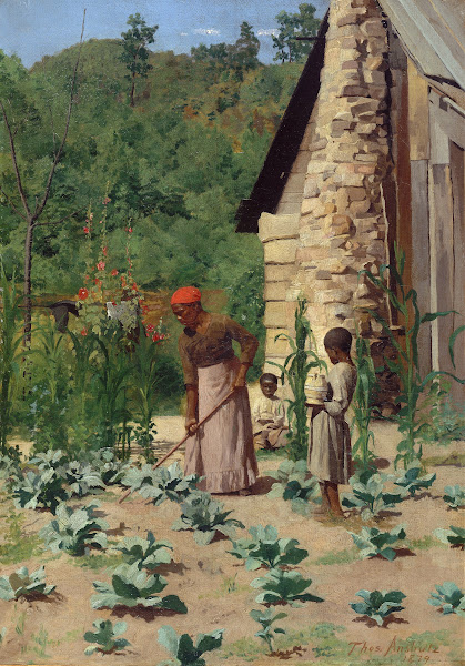 The Way They Live 1879