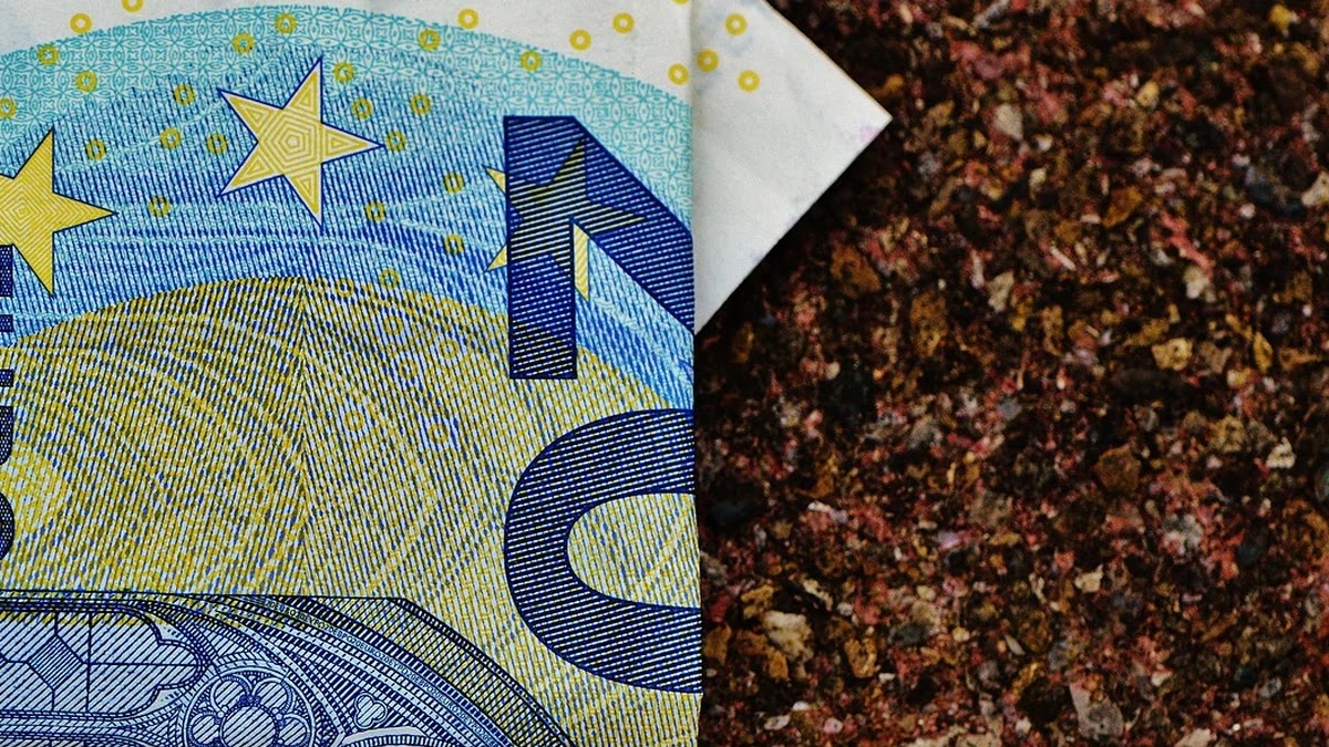 현금영수증과 세금계산서 발급