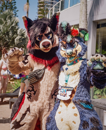 furdu--7.jpg