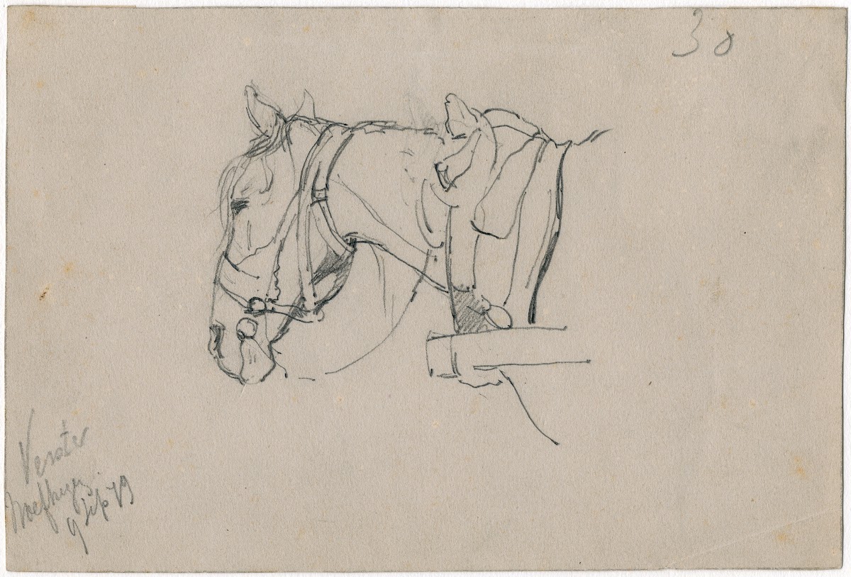 Horse with harnes