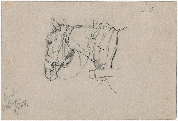 Horse with harnes