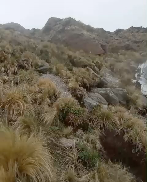 Trek al Avión Caído