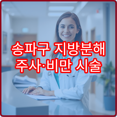 송파구 지방분해 주사·비만 시술 가능한 병원과 비용 정보